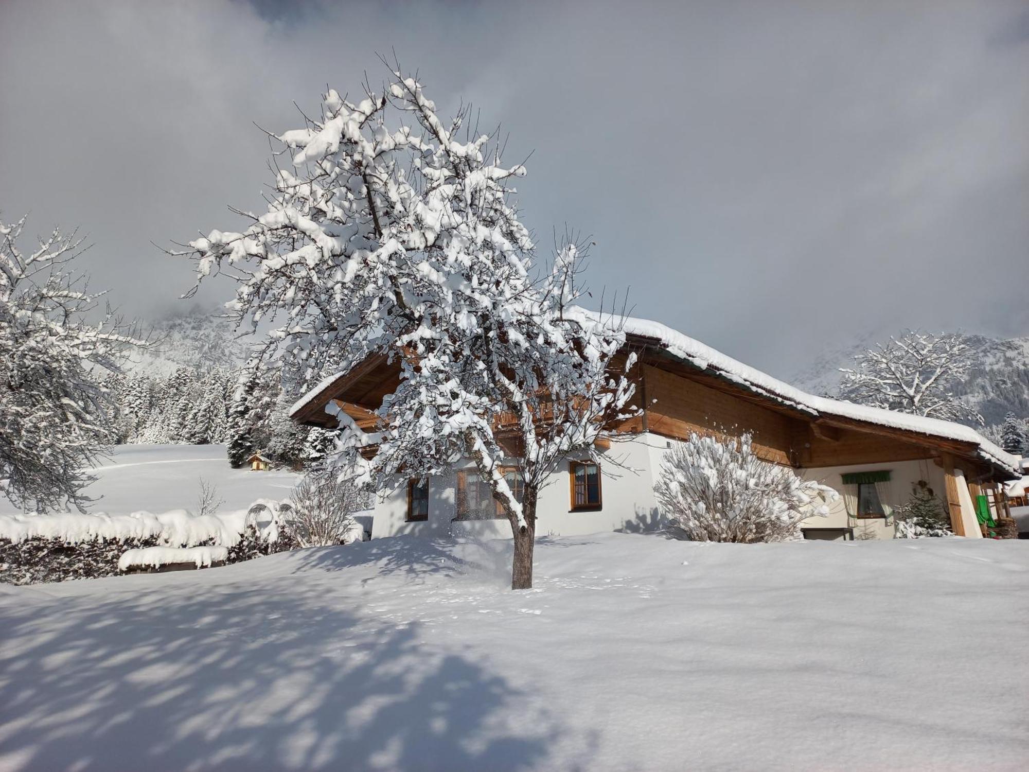 Chalet Gluecklich Sein... เอลล์เมา ภายนอก รูปภาพ